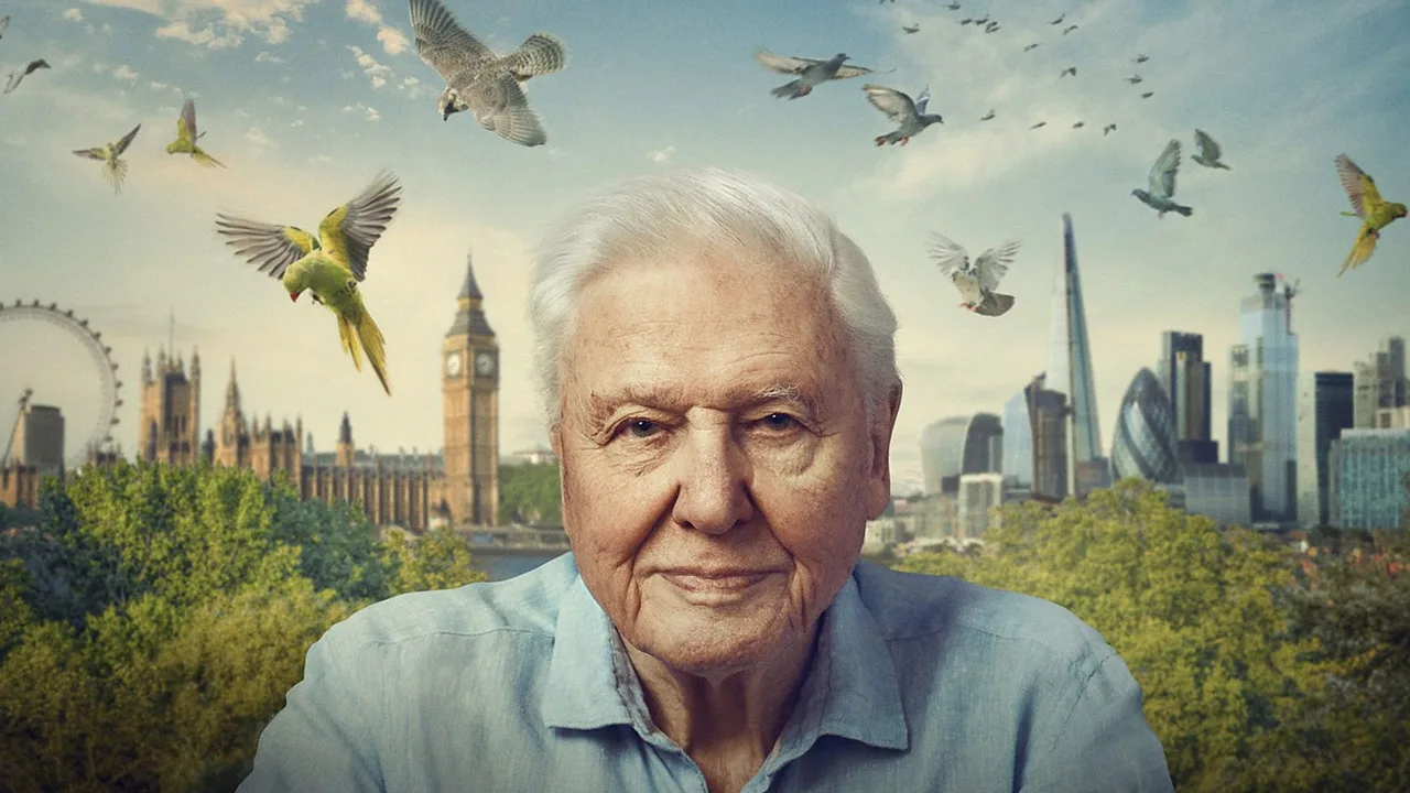 Wild London (2026)