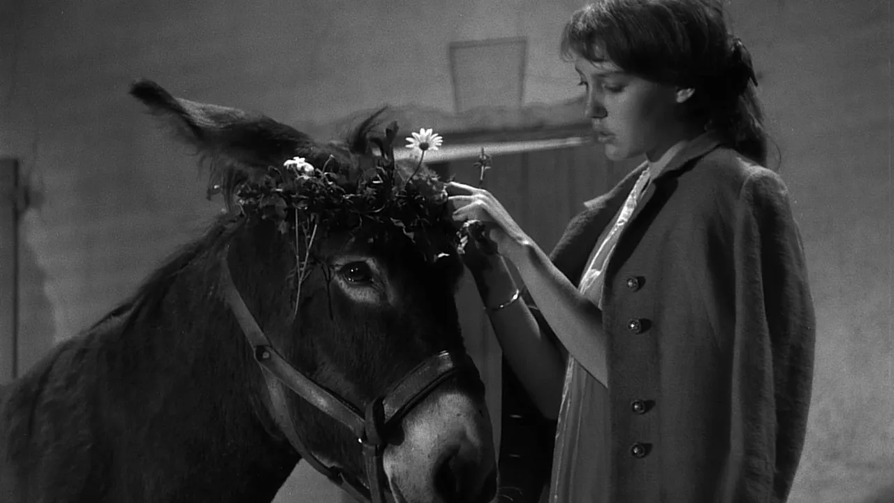 Au Hasard Balthazar (1966)