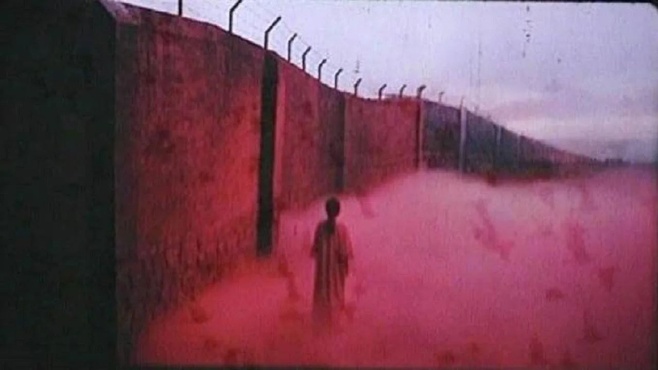 Zi Hen (1991)