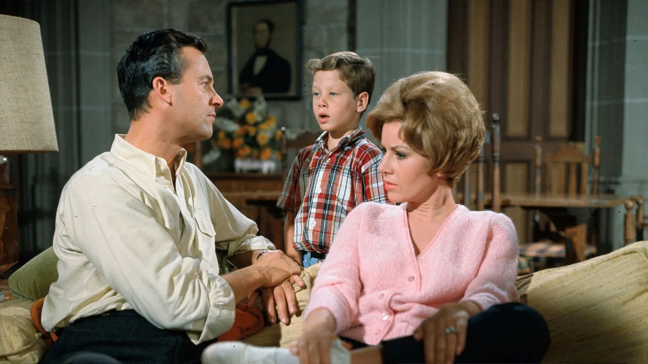 Please Don't Eat the Daisies (1965)