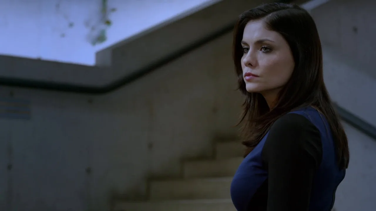 Stalkers (2013)