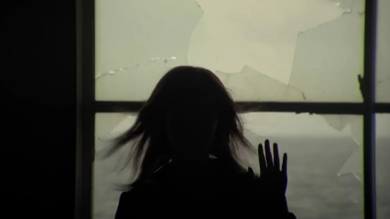 Noriko's Dinner Table (2005)