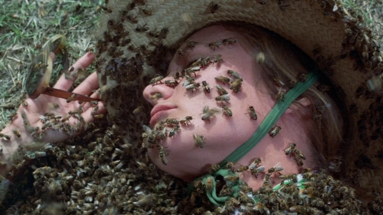 The Swarm (1978)