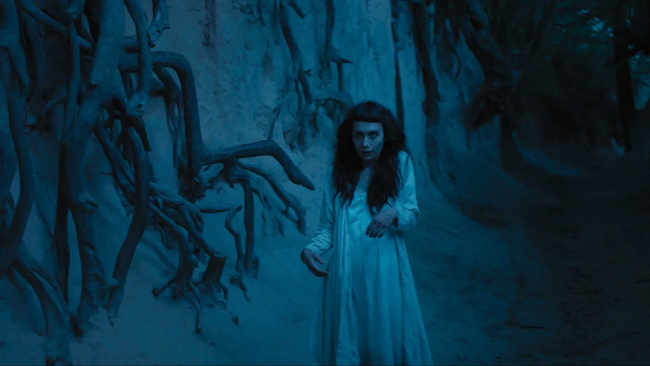 The Field Guide to Evil (2019)