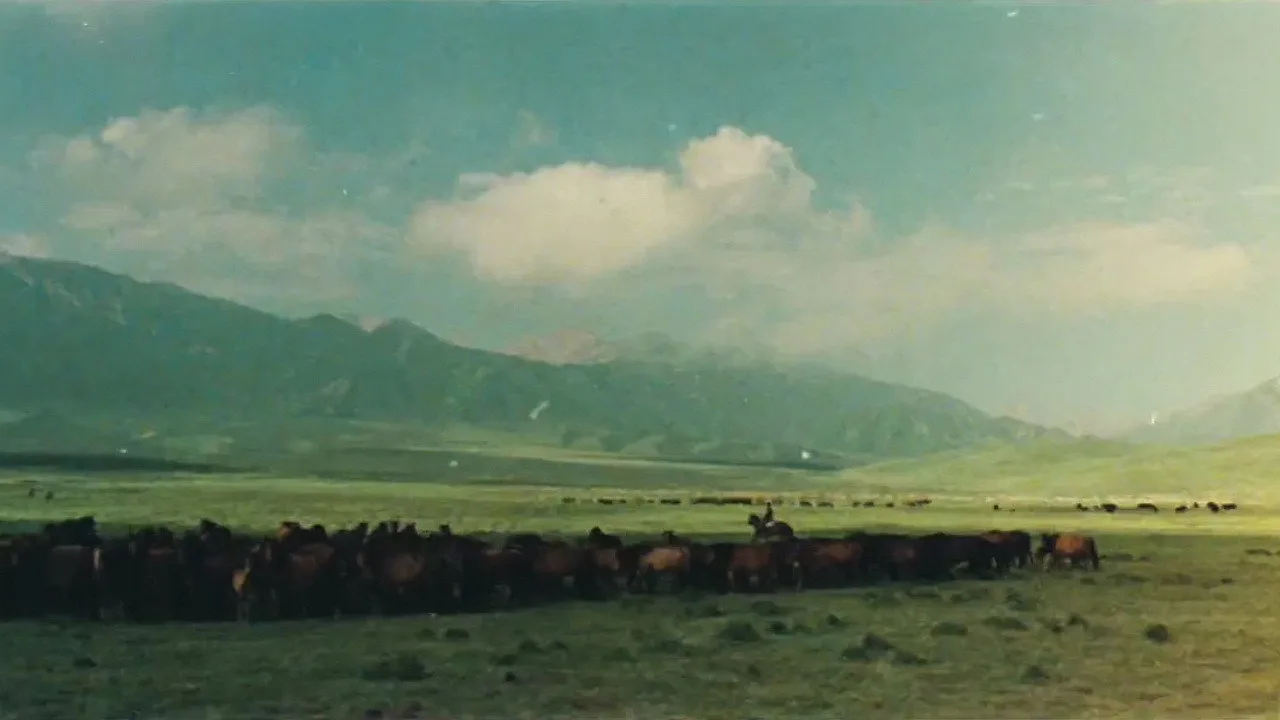 The Herdsman (1982)