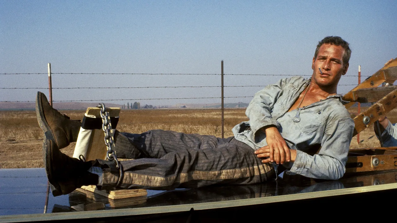 Cool Hand Luke (1967)
