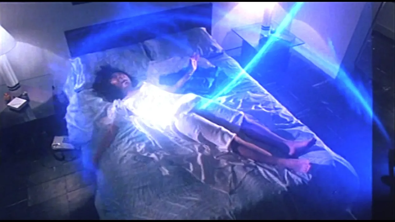 Evil Cat (1987)