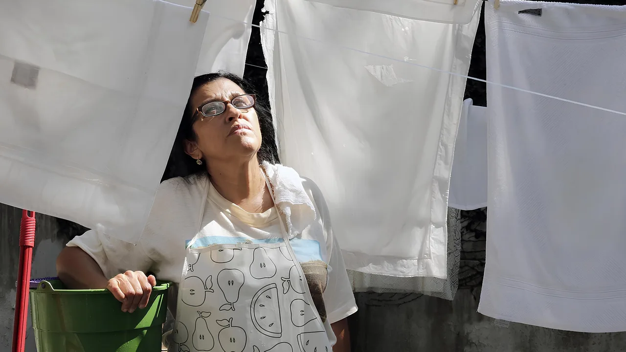 The Second Mother (2015)