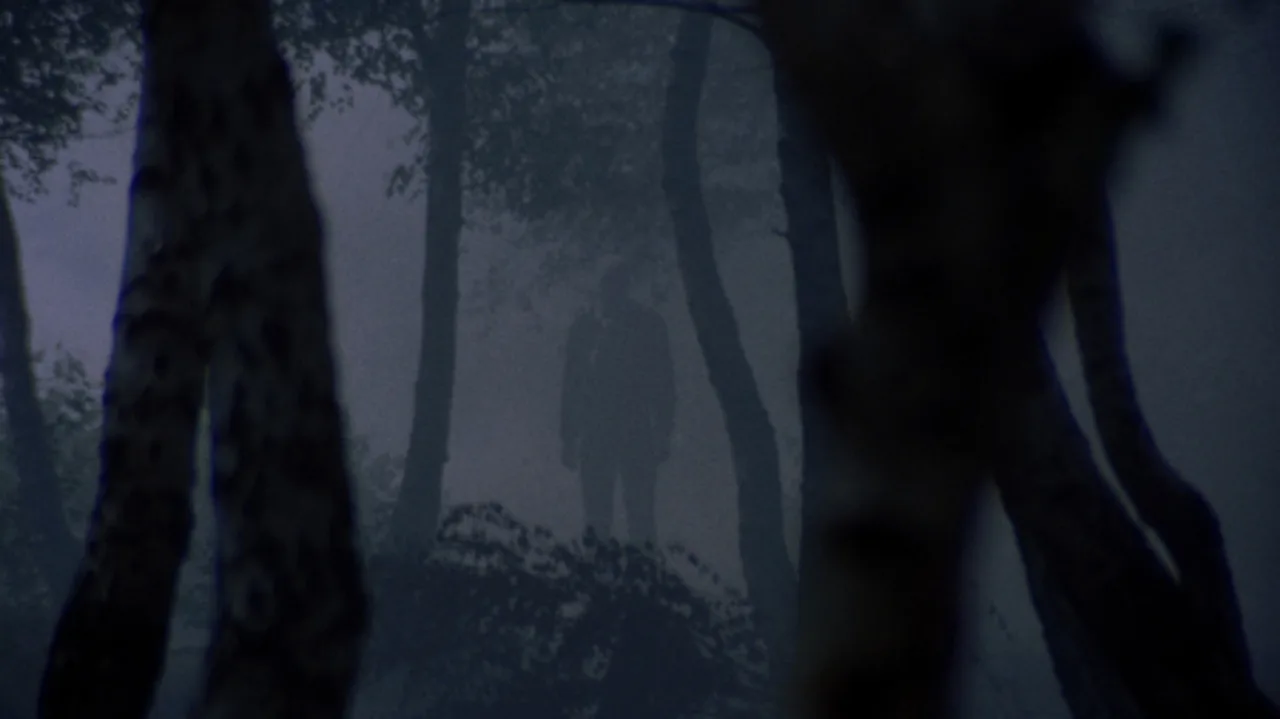 Torso (1973)
