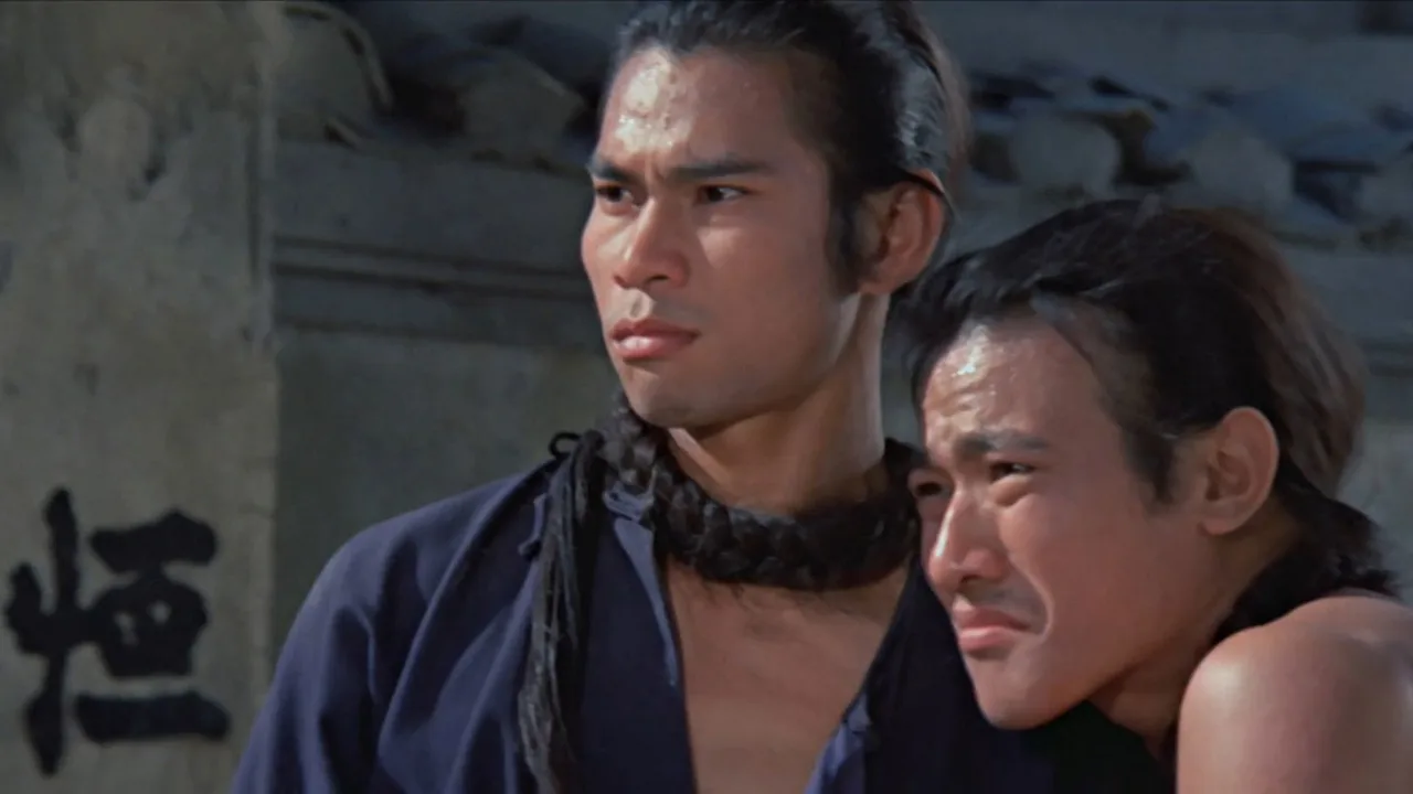Iron Bodyguard (1973)