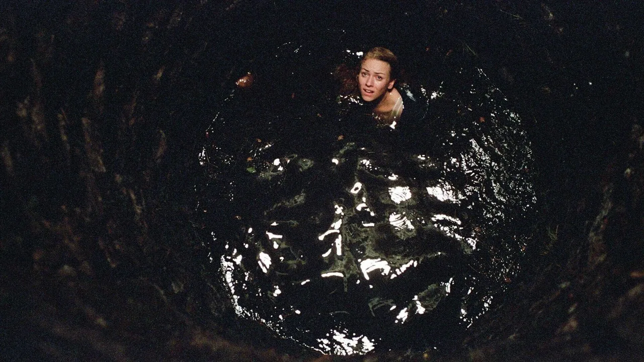 The Ring Two (2005)