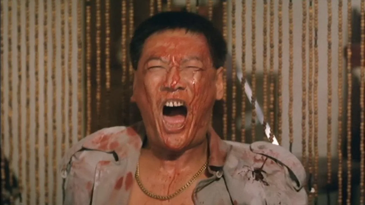 Daughter of Darkness (1993)