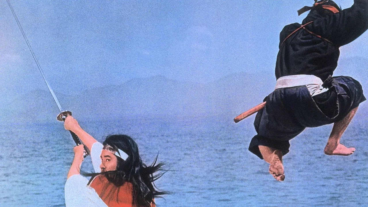 Miyamoto Musashi V: Musashi vs Kojiro (1965)