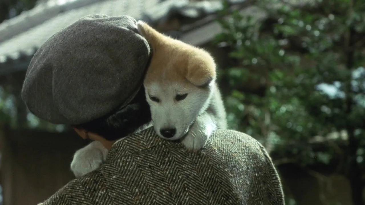 Hachiko (1987)