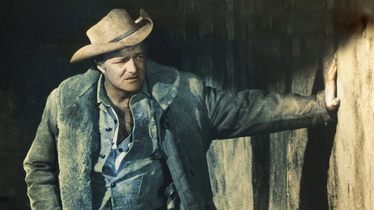 The Westerner (1960)