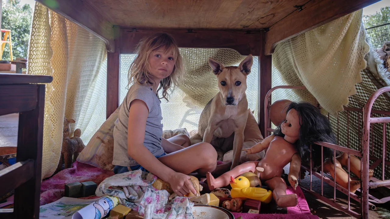 Don't Let's Go to the Dogs Tonight (2025)