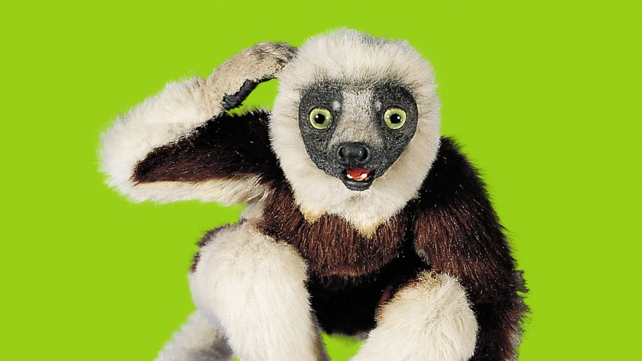 Zoboomafoo (1999)