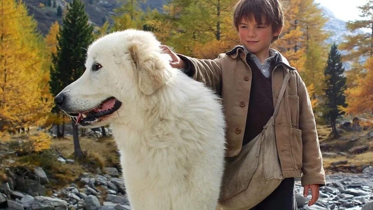 Belle and Sebastian (2013)