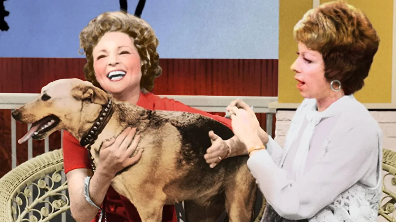 The Pet Set (1971)