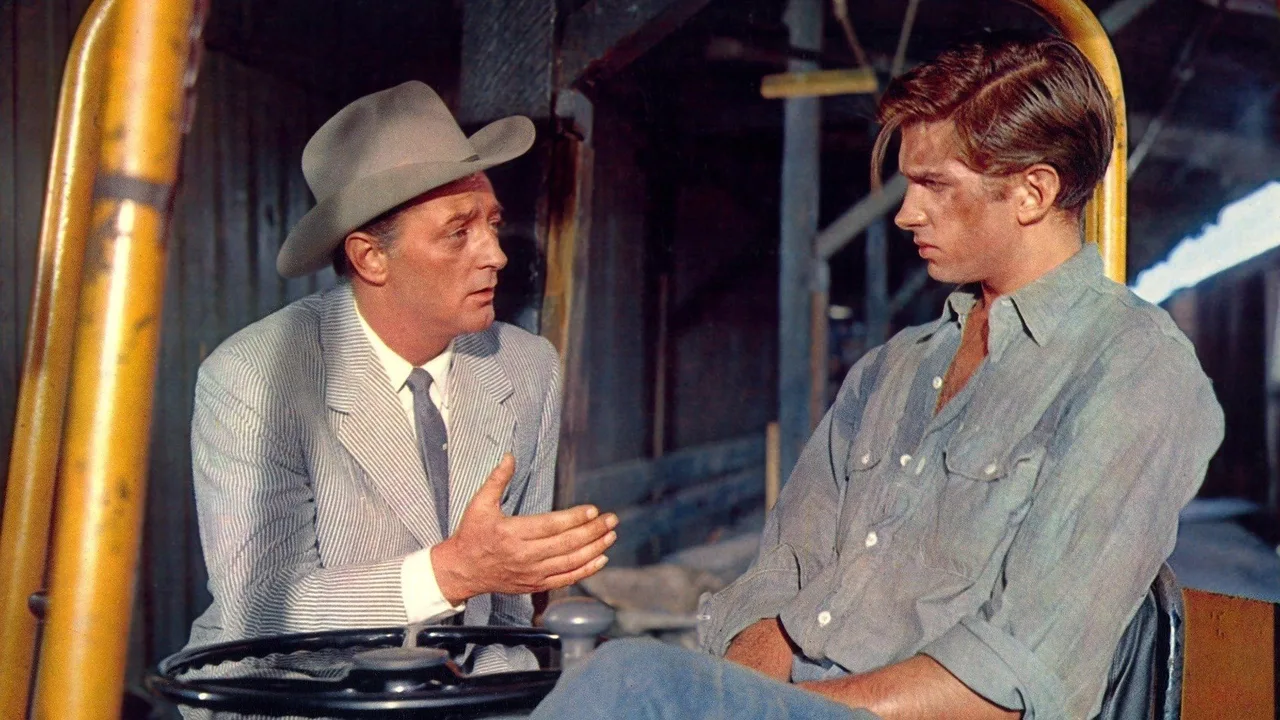Home from the Hill (1960)