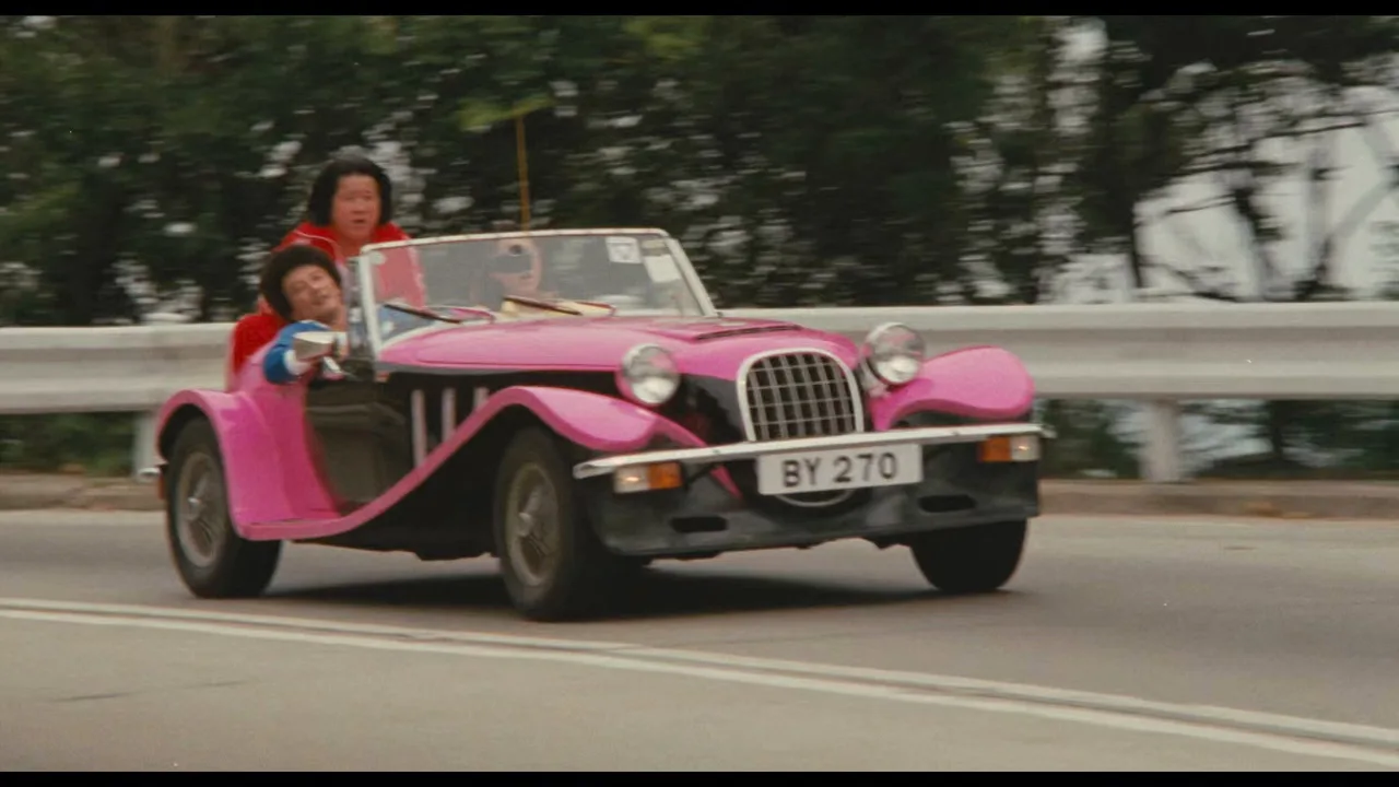 Chasing Girls (1981)