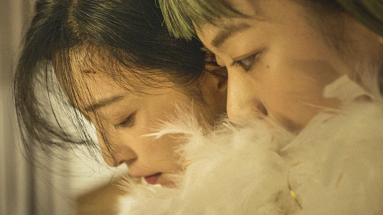 Green Night (2023)