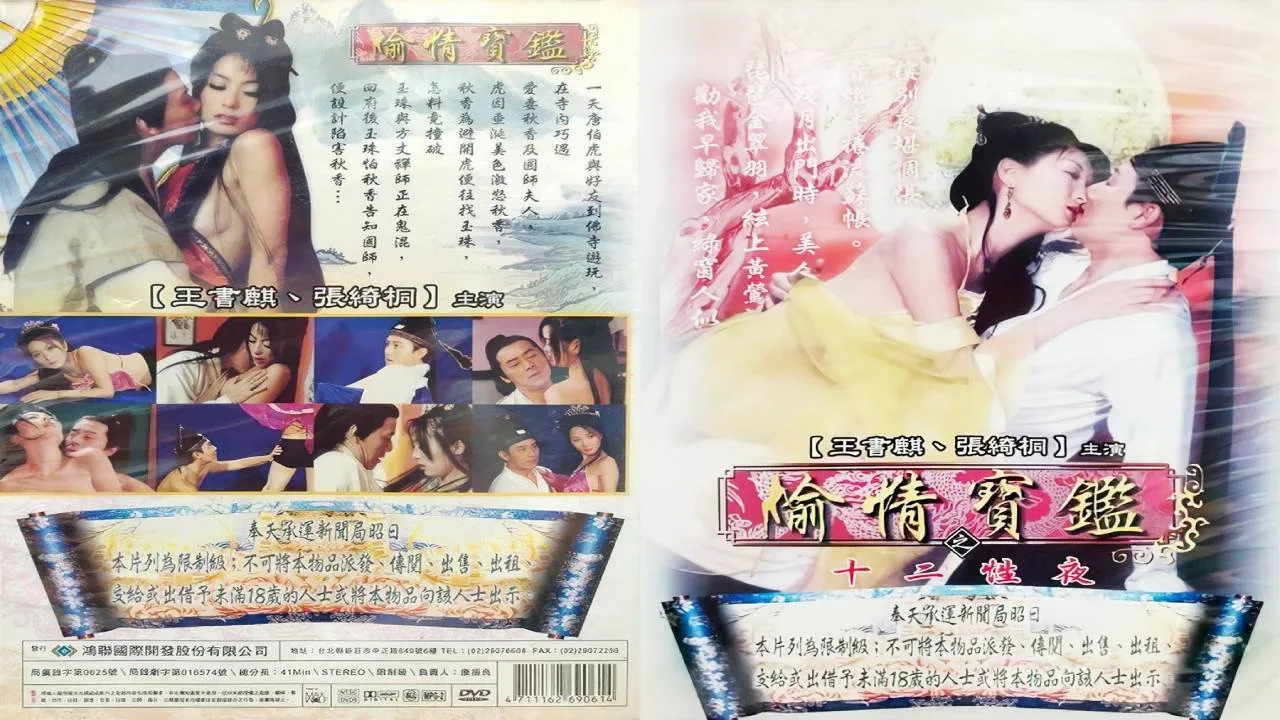 偷情宝鉴之十二性夜 (2000)