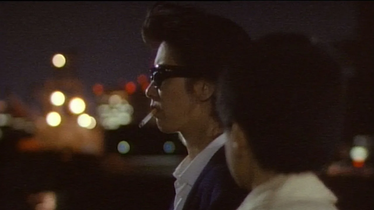 Stranger (1991)