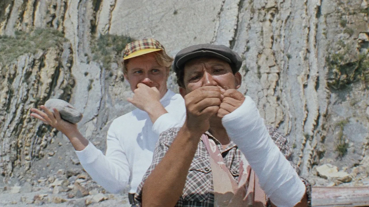 The Diamond Arm (1969)