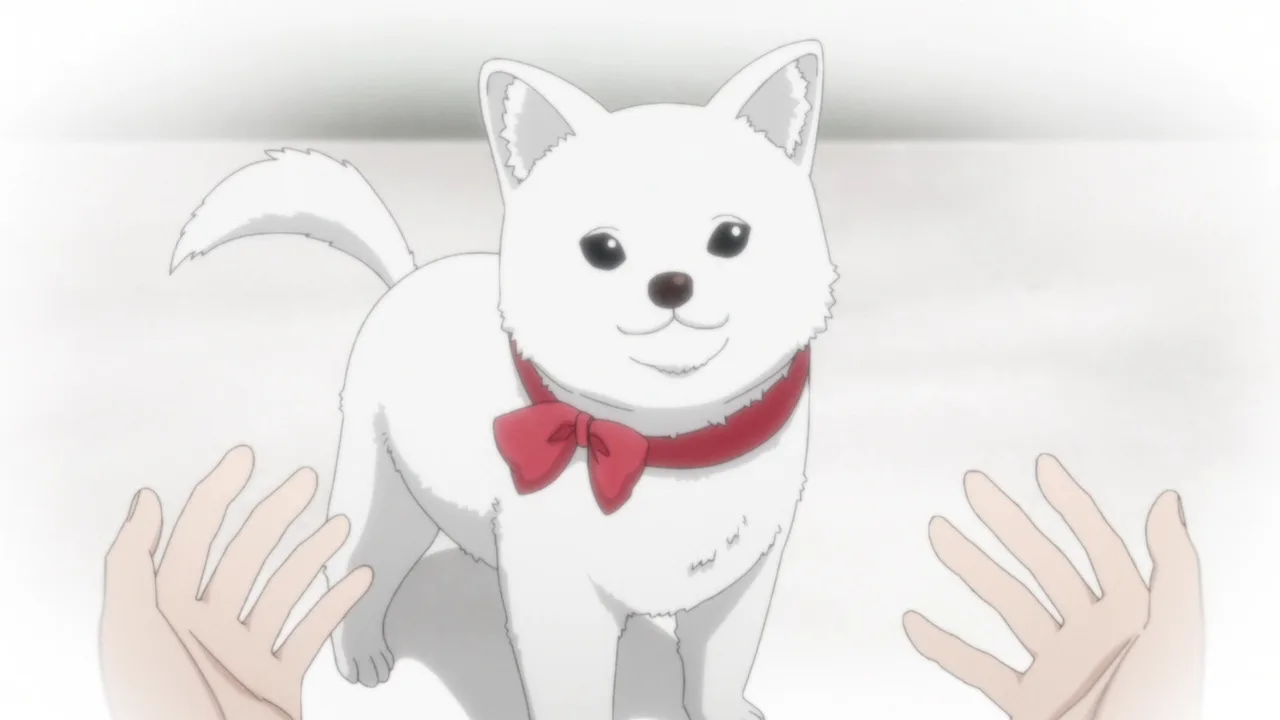 Kinokoinu Mushroom Pup (2024)