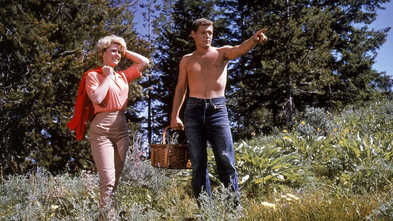 Spencer's Mountain (1963)