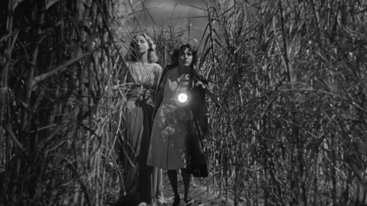 I Walked with a Zombie (1943)