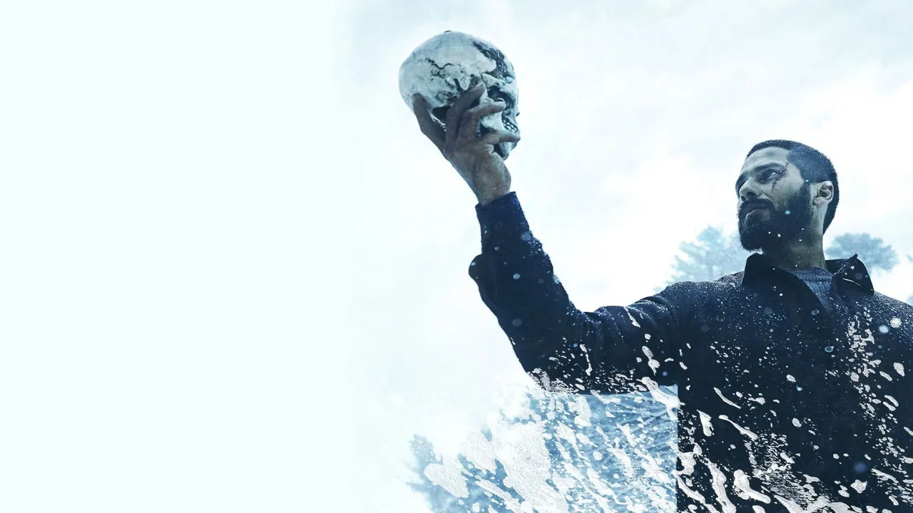Haider (2014)