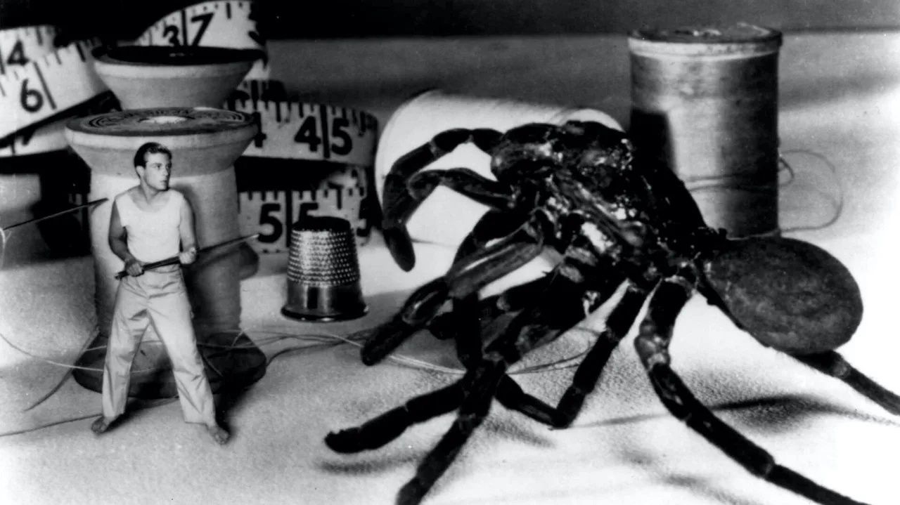 The Incredible Shrinking Man (1957)