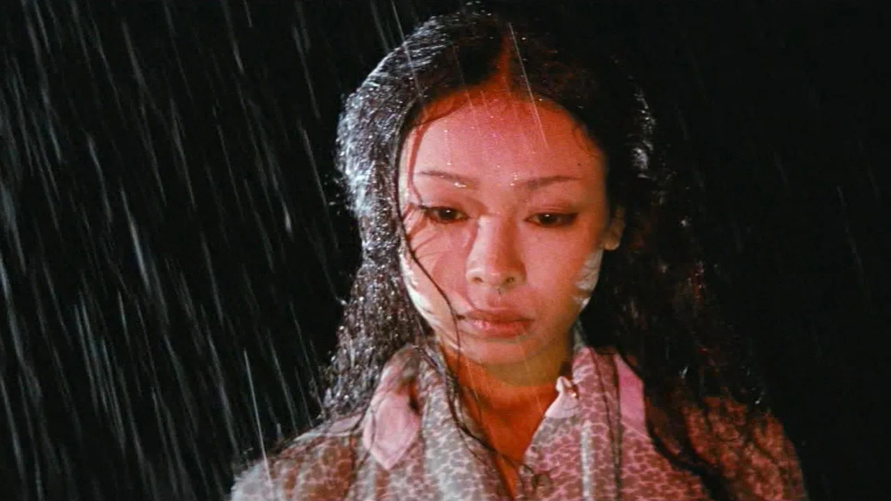 A Certain Seductive Summer (1979)