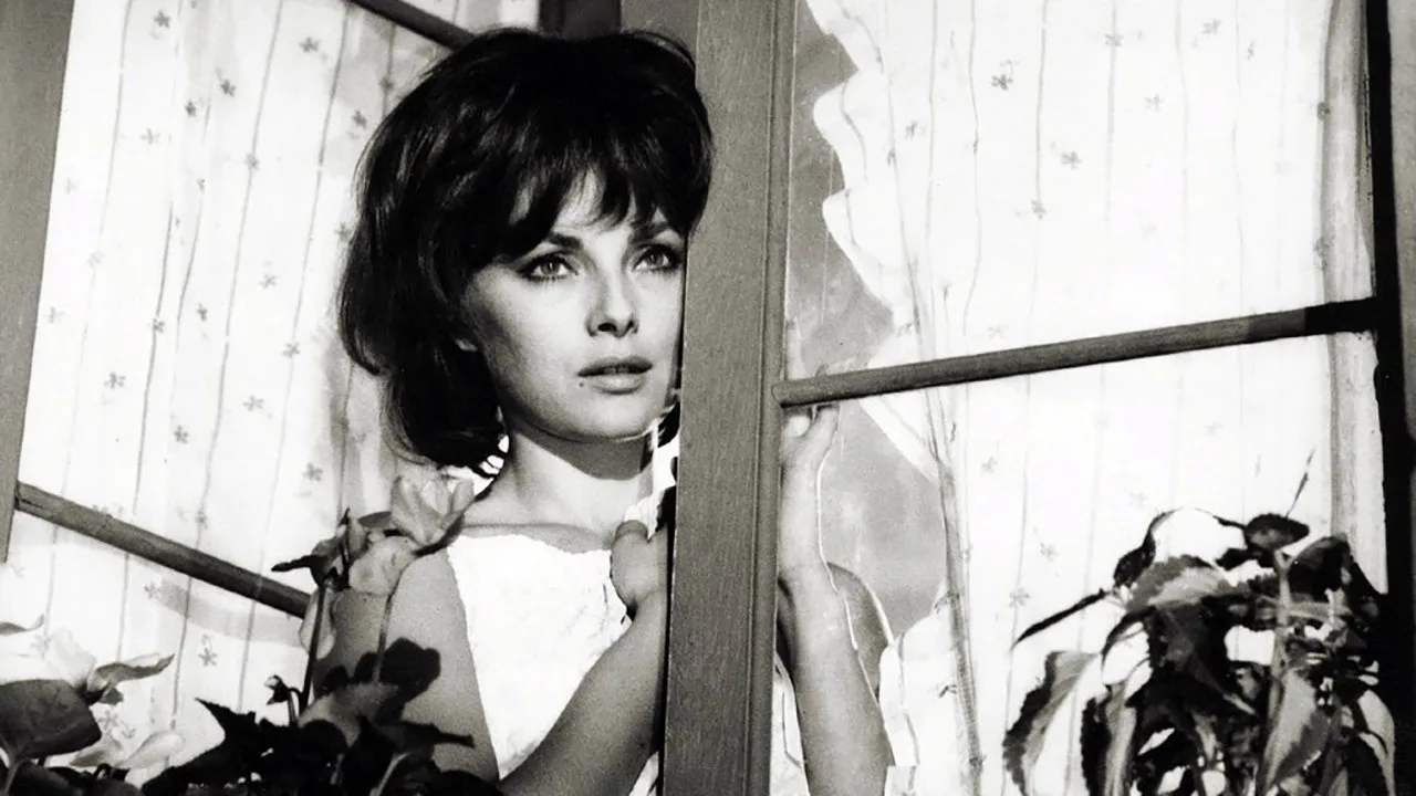 The Birds, the Bees and the Italians (1966)