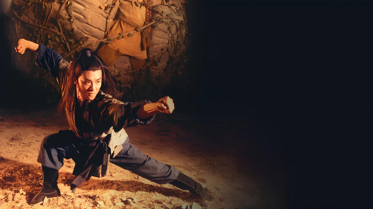 Kung Fu Cult Master (1993)