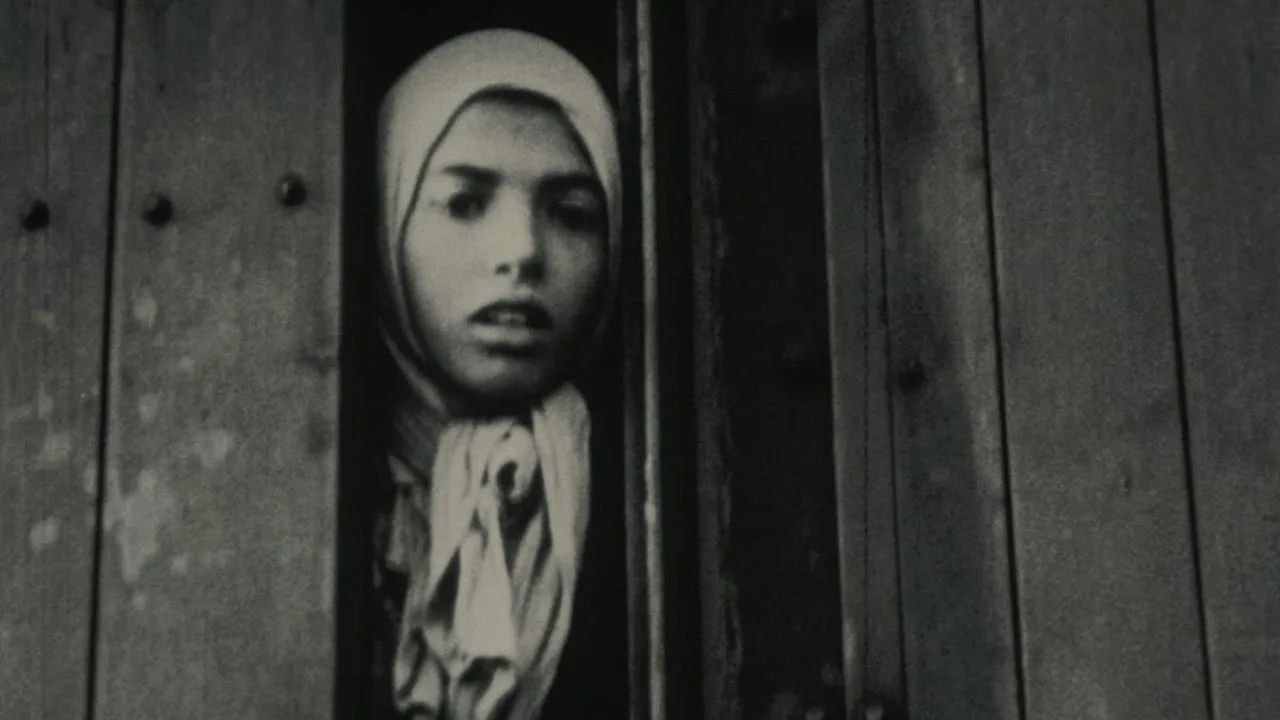 Night and Fog (1956)