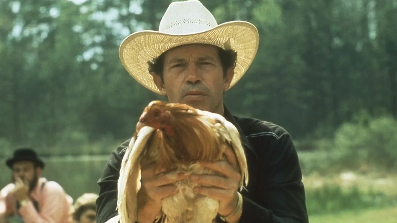 Cockfighter (1974)
