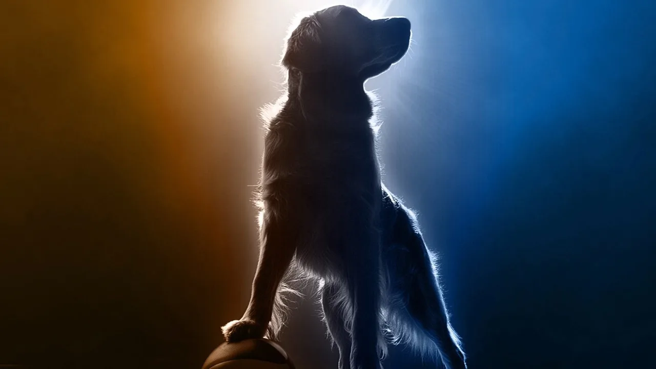 Air Bud Returns (2027)
