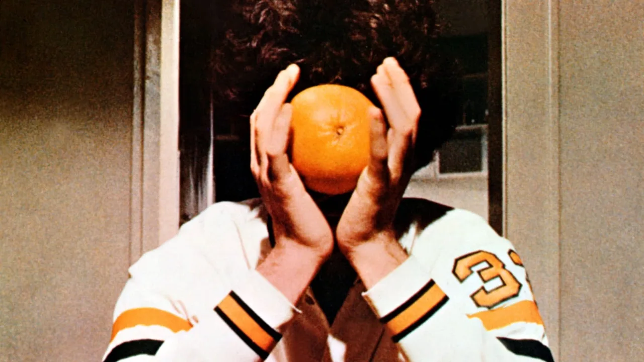 Drive, He Said (1971)