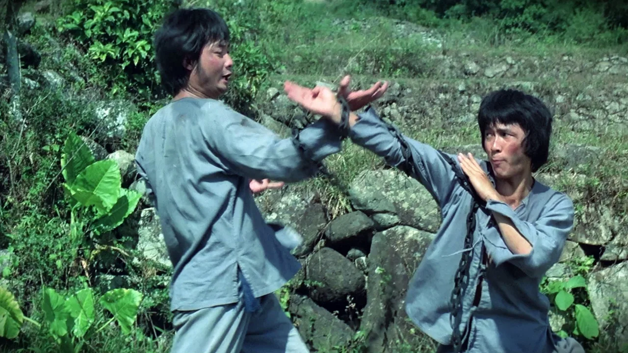 Monkey Kung Fu (1979)