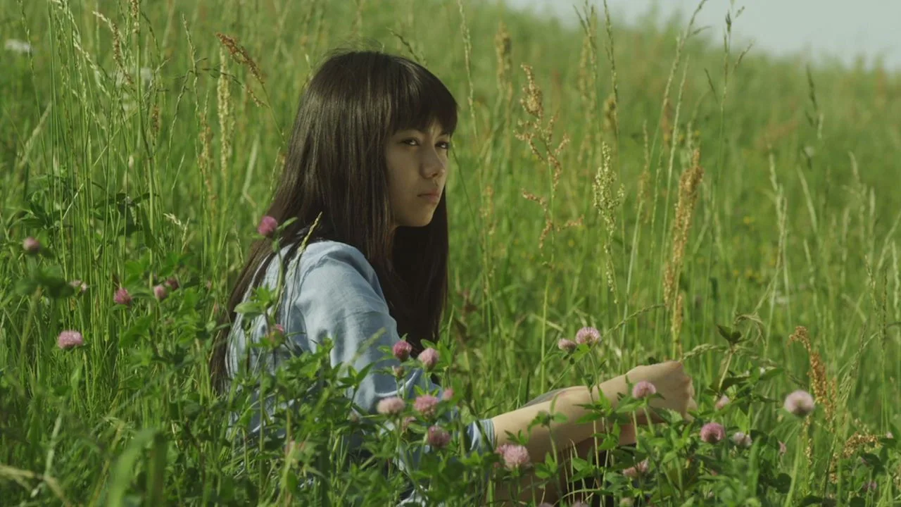 Himizu (2012)
