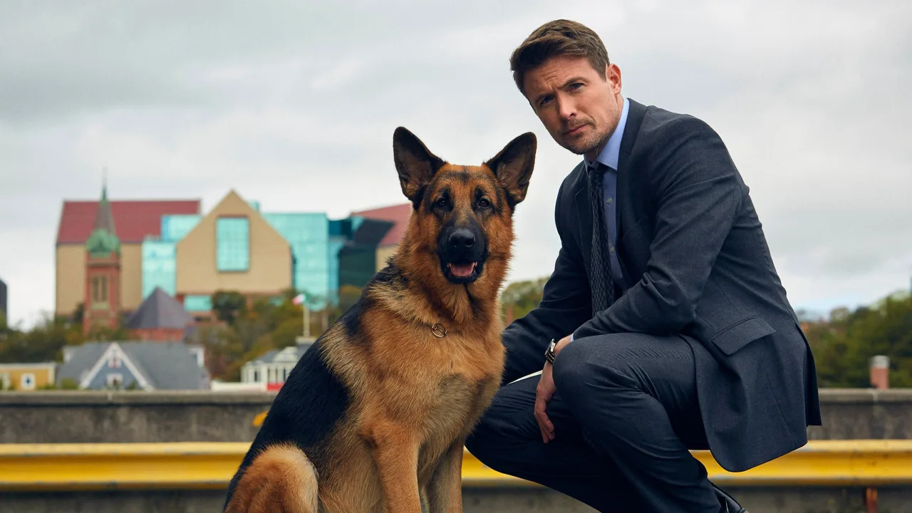 Hudson & Rex (2019)
