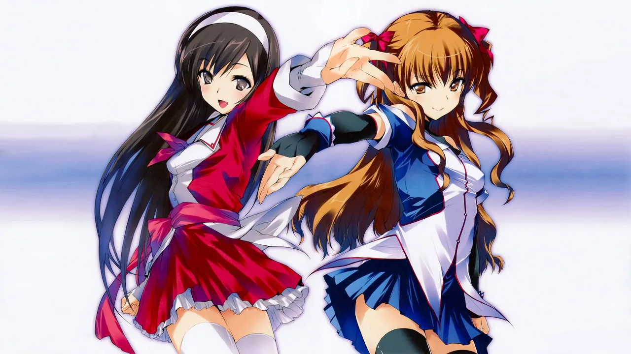 White Album (2009)