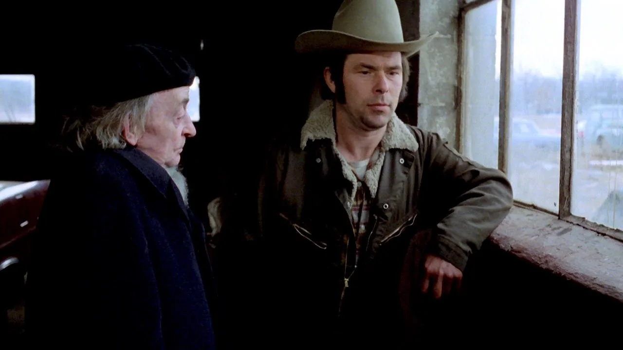 Stroszek (1977)