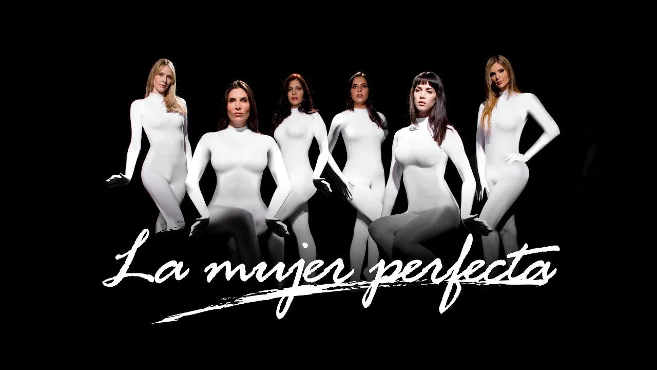La mujer perfecta (2010)