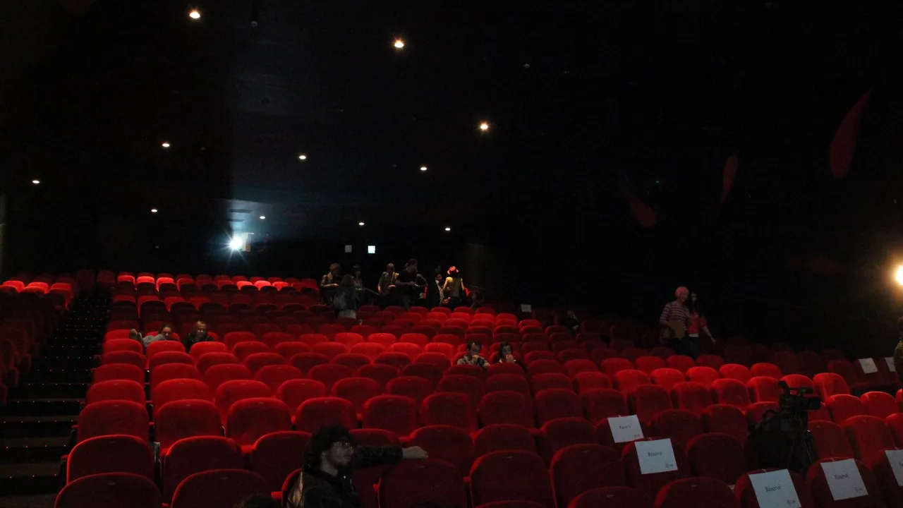 Leçon de Cinéma (2004)