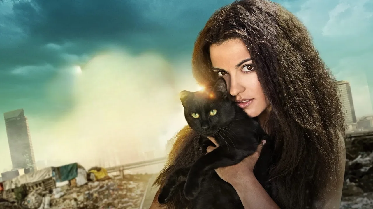 The Stray Cat (2014)