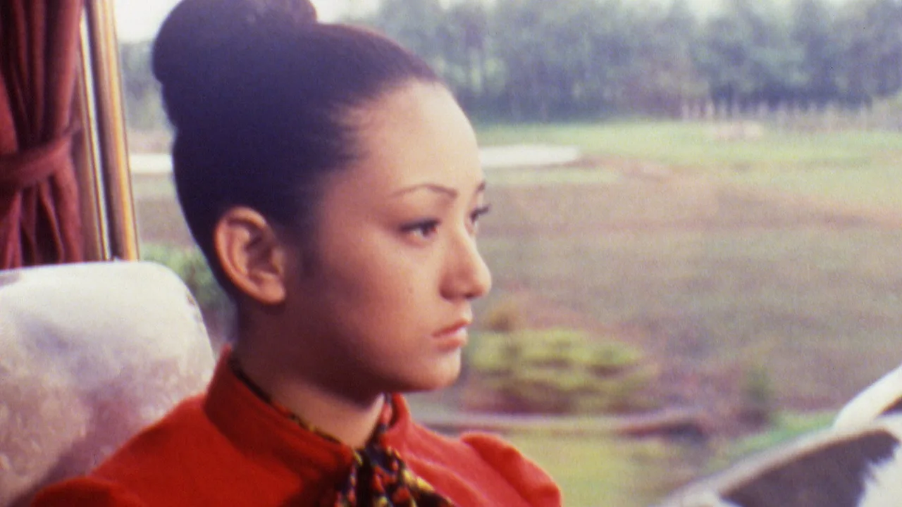Woman on the Night Train (1972)